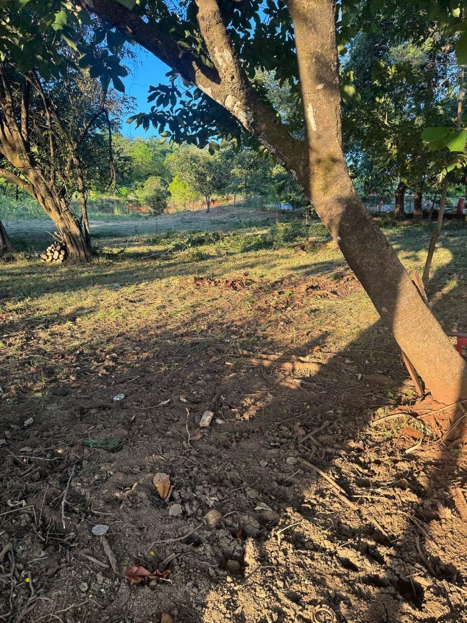 Vista 4 de 🌴 ¡Oportunidad única en Playa Potrero, Guanacaste! 🏖️