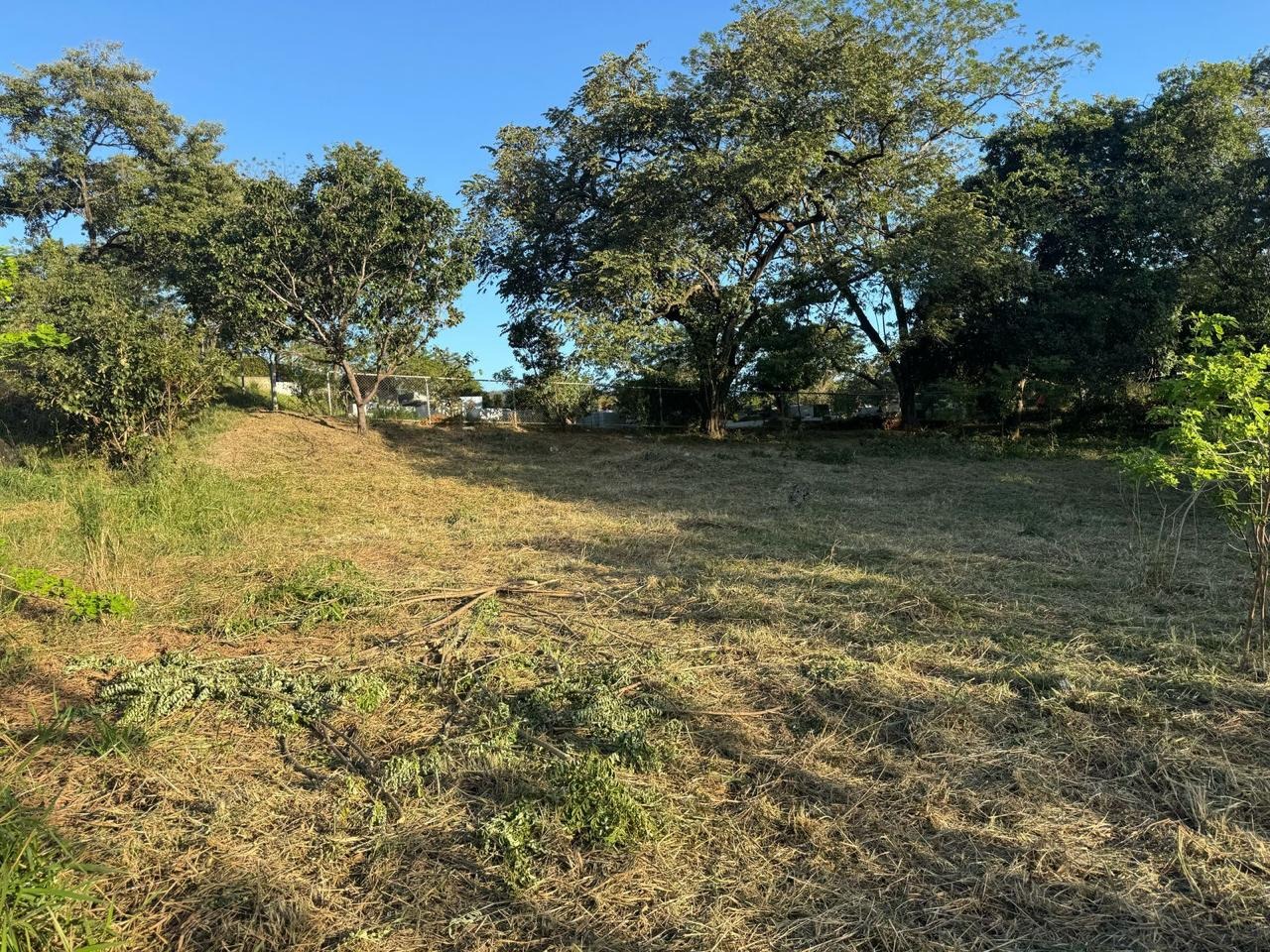 Vista 5 de 🌴 ¡Oportunidad única en Playa Potrero, Guanacaste! 🏖️