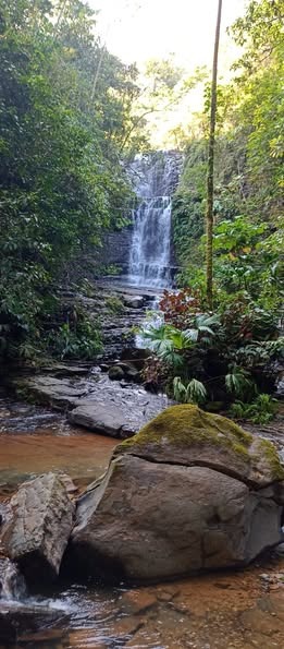 Imagen principal de 🌴 ¡Venta de Finca las cataratas! QUEPOS