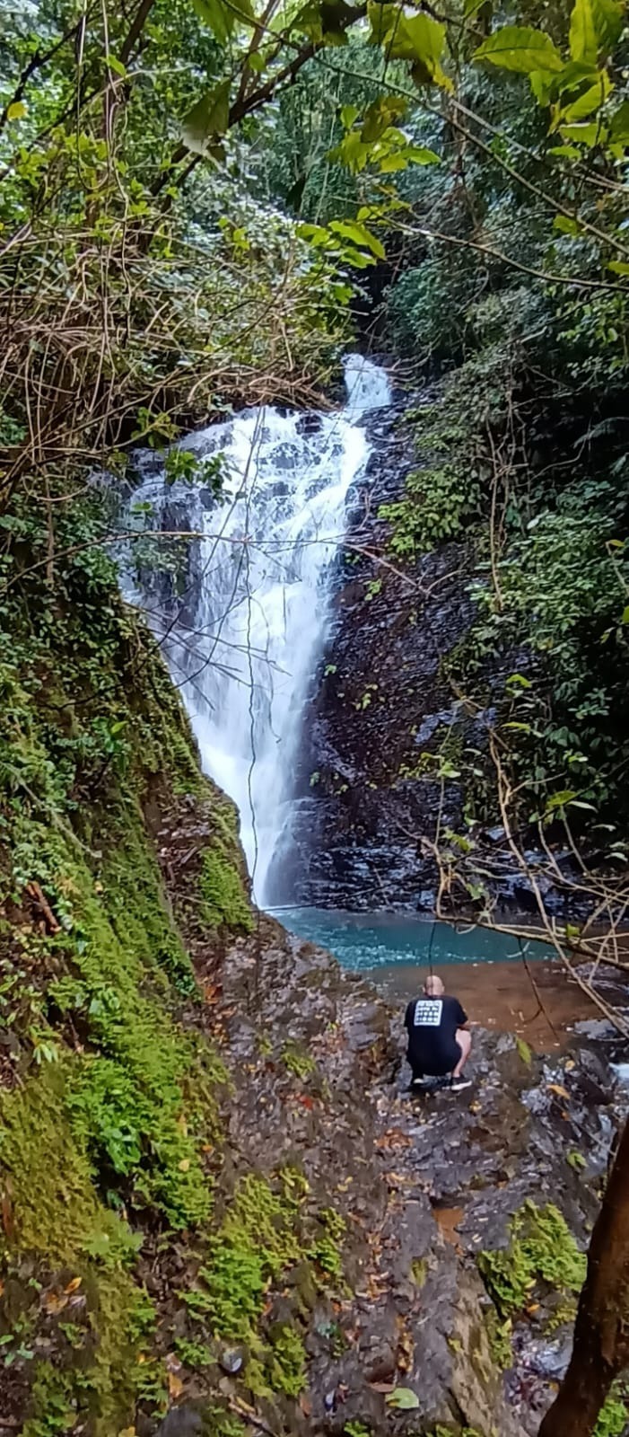 Vista 2 de 🌴 ¡Venta de Finca las cataratas! QUEPOS