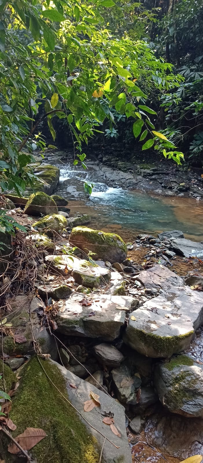 Vista 3 de 🌴 ¡Venta de Finca las cataratas! QUEPOS