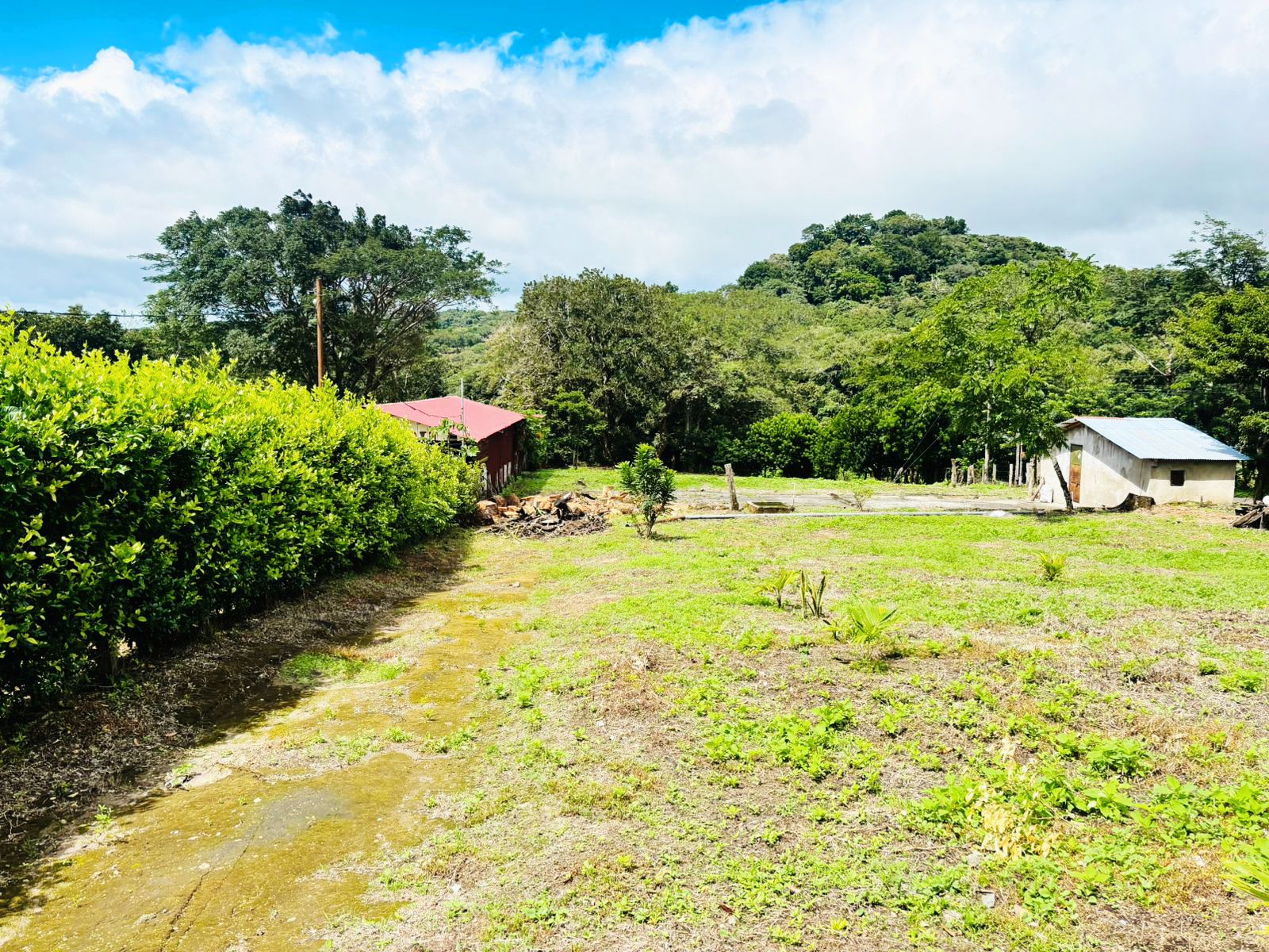 Vista 5 de 🔥 ¡Lote Premium en Las Lilas, Quebrada Grande – Liberia! 🔥