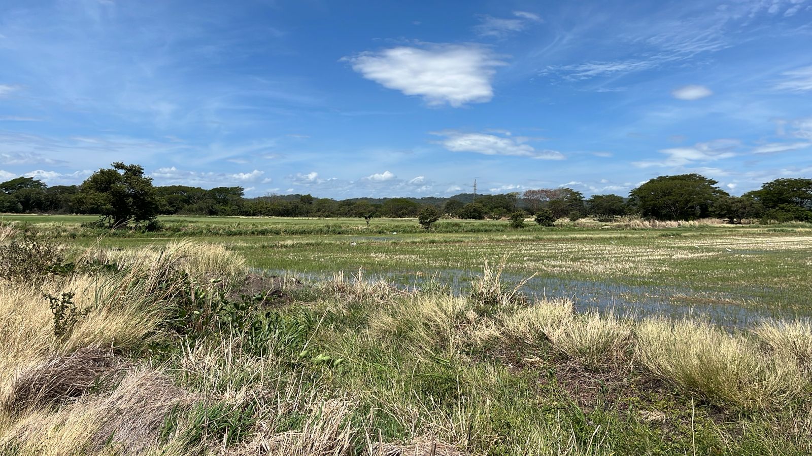 Vista 2 de 🌾 PARCELA AGRÍCOLA EN VENTA 