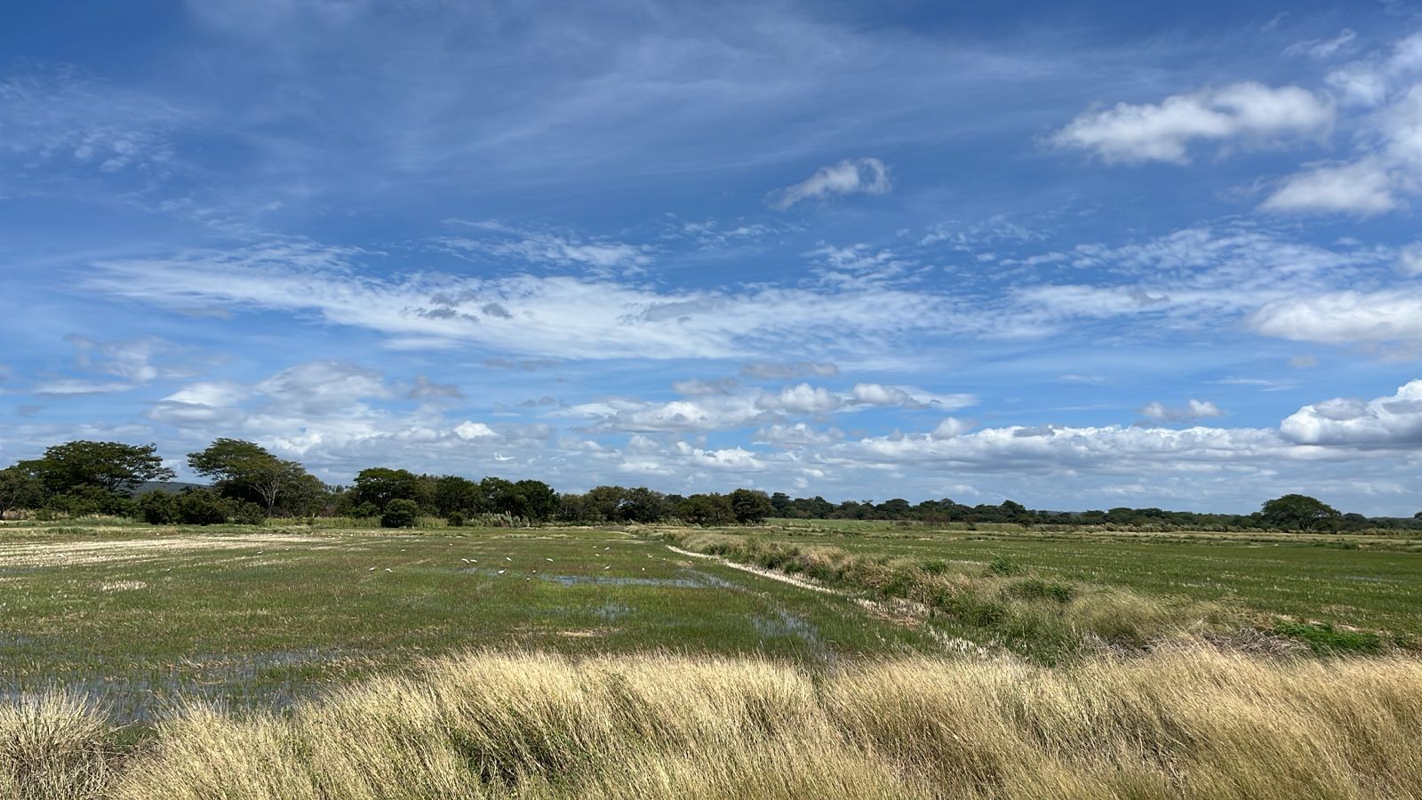 Vista 3 de 🌾 PARCELA AGRÍCOLA EN VENTA 