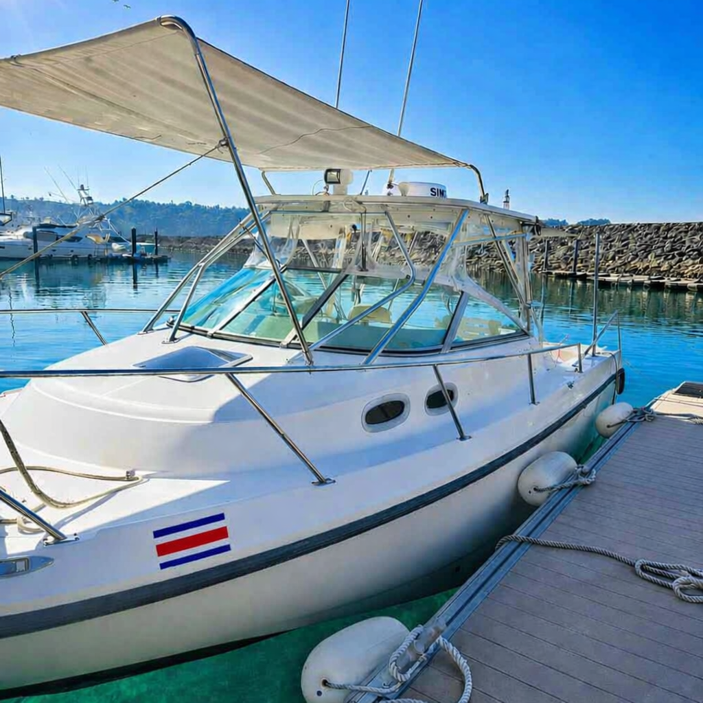 Imagen principal de VENTA DE YATE – Boston Whaler 32 pies (Año 2010)