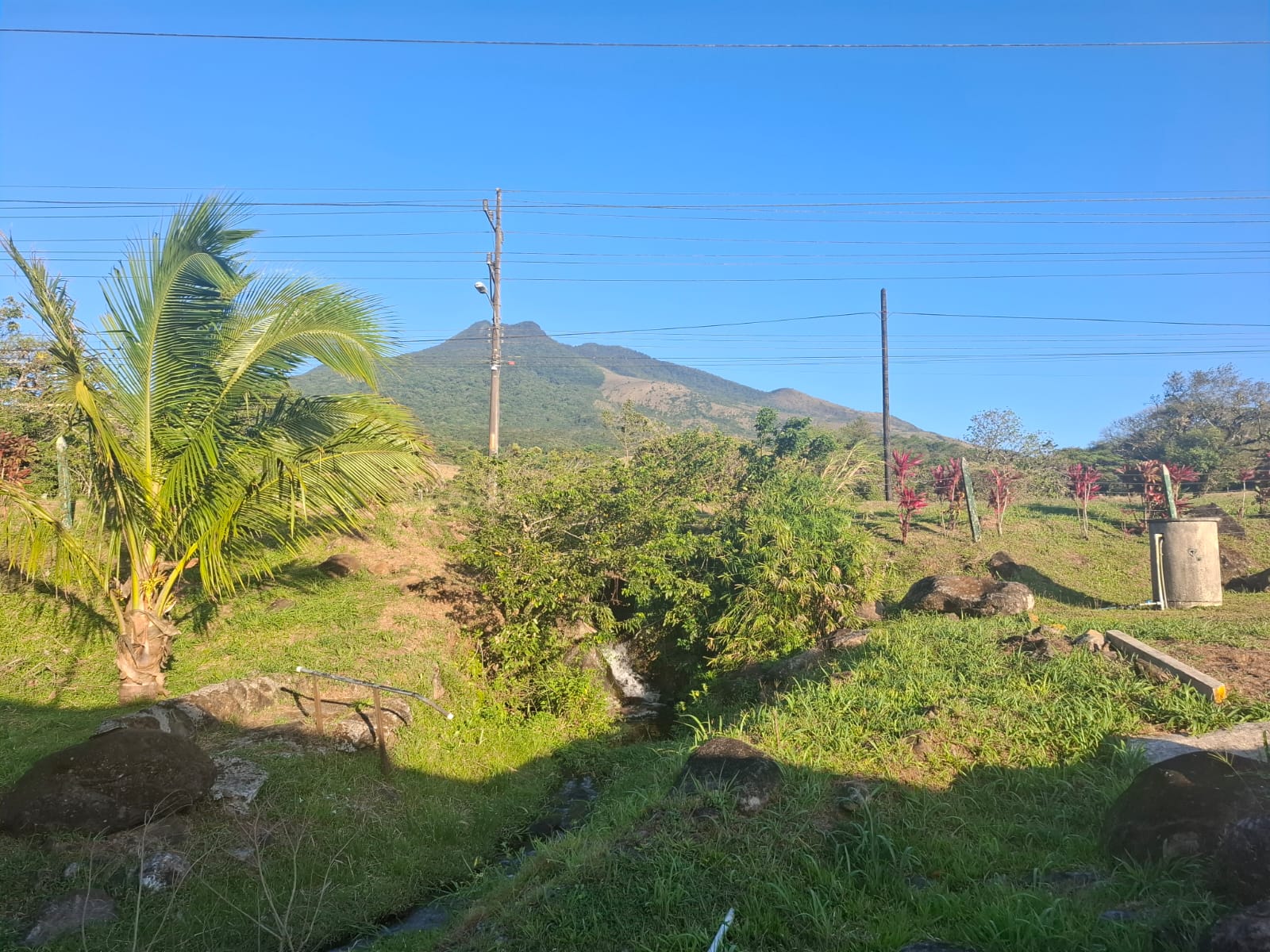 Vista 4 de Restaurante-Cafetería con Casa – Guayabal, Bagaces