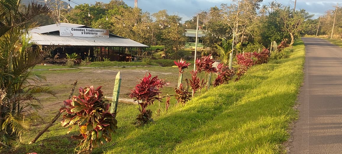 Imagen principal de Restaurante-Cafetería con Casa – Guayabal, Bagaces
