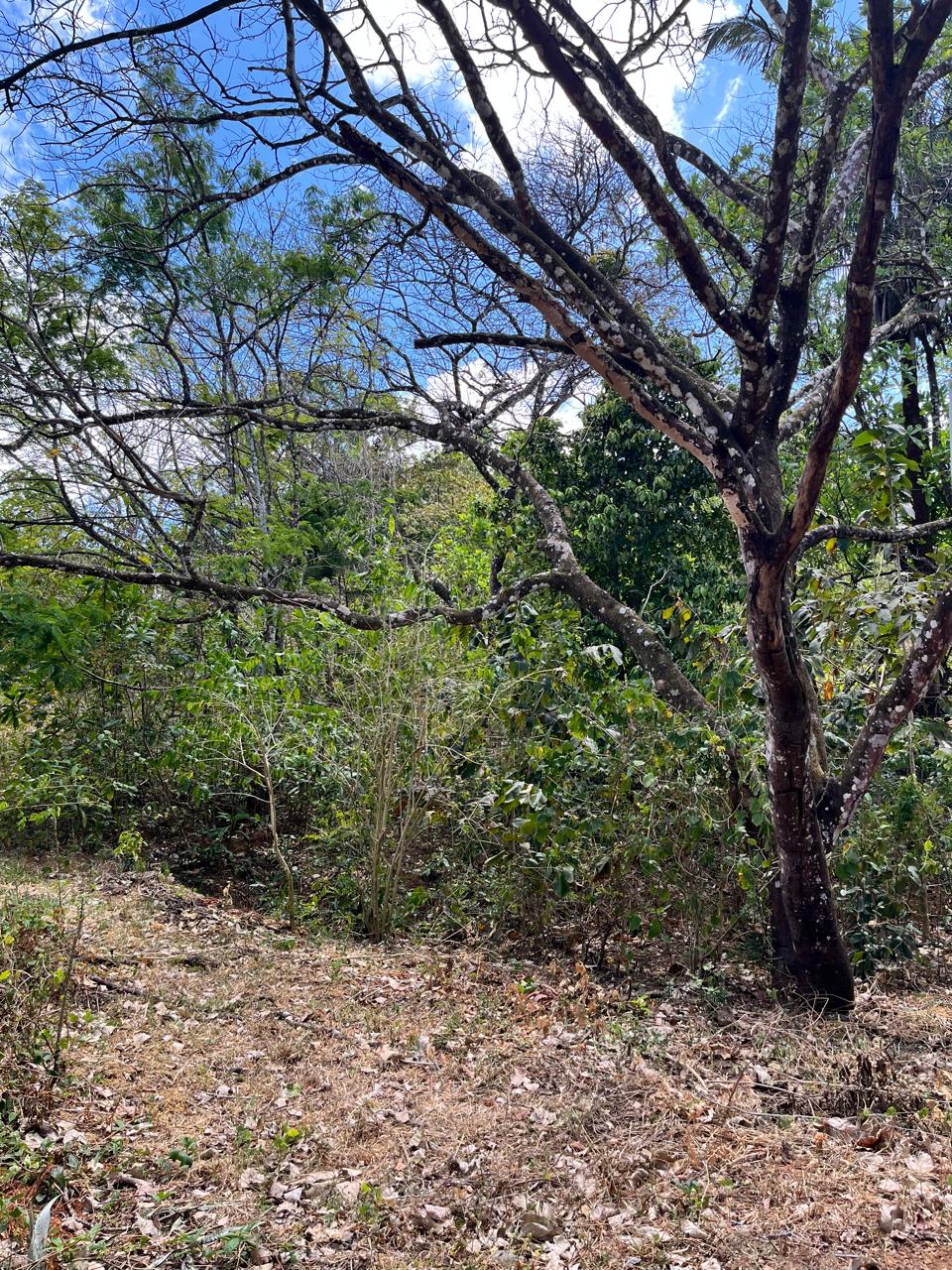 Vista 3 de Quintas y Lotes Madero Negro – Agua Caliente, Bagaces