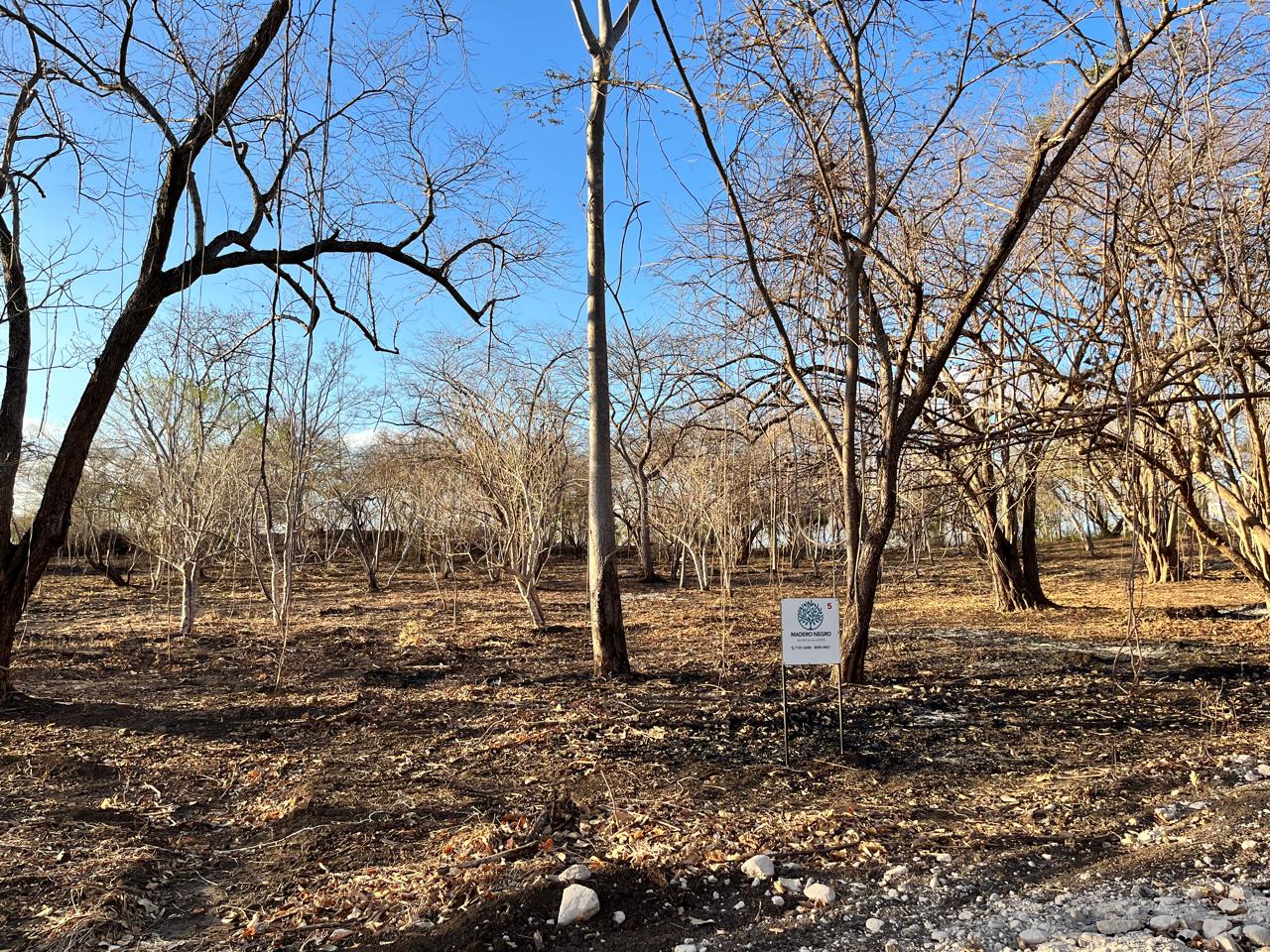 Vista 7 de Quintas y Lotes Madero Negro – Agua Caliente, Bagaces