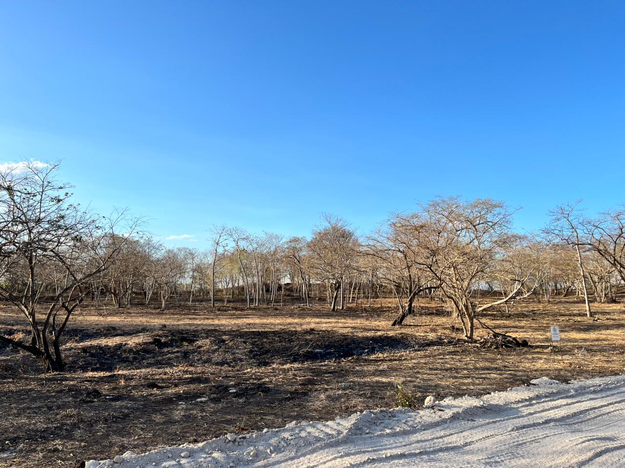 Vista 10 de Quintas y Lotes Madero Negro – Agua Caliente, Bagaces