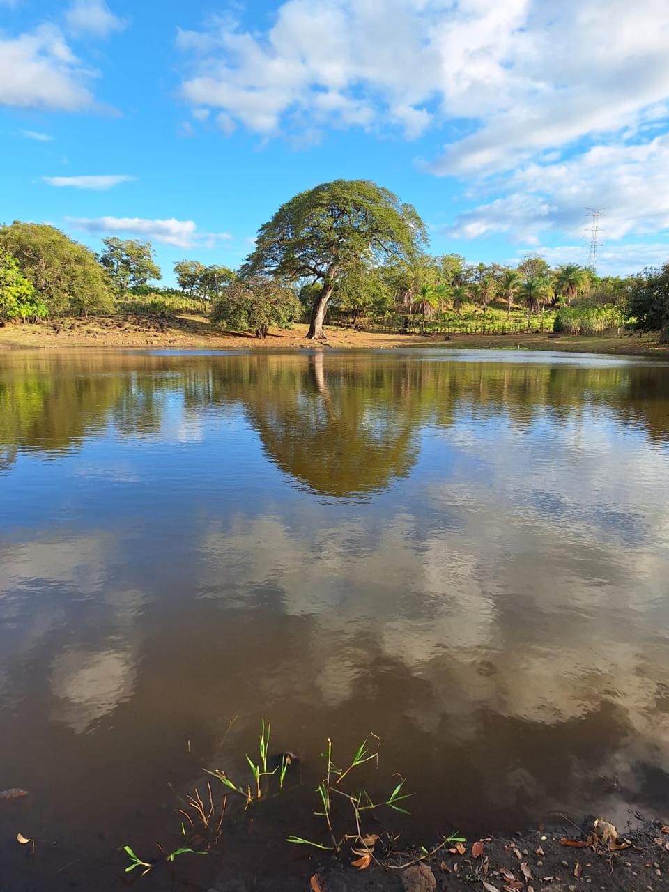 Imagen principal de Finca El Laguito, San Bernardo de Bagaces
