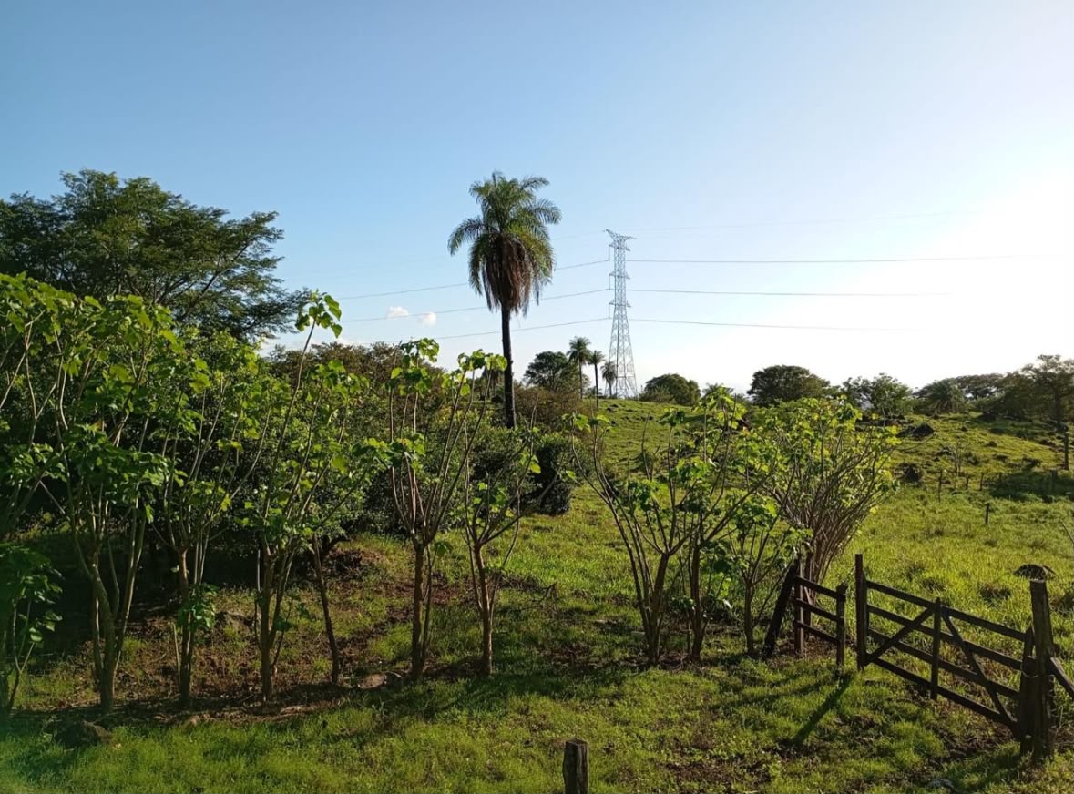 Vista 6 de Finca El Laguito, San Bernardo de Bagaces