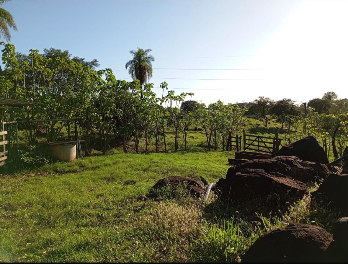 Vista 7 de Finca El Laguito, San Bernardo de Bagaces