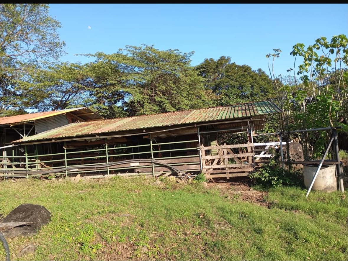 Vista 8 de Finca El Laguito, San Bernardo de Bagaces