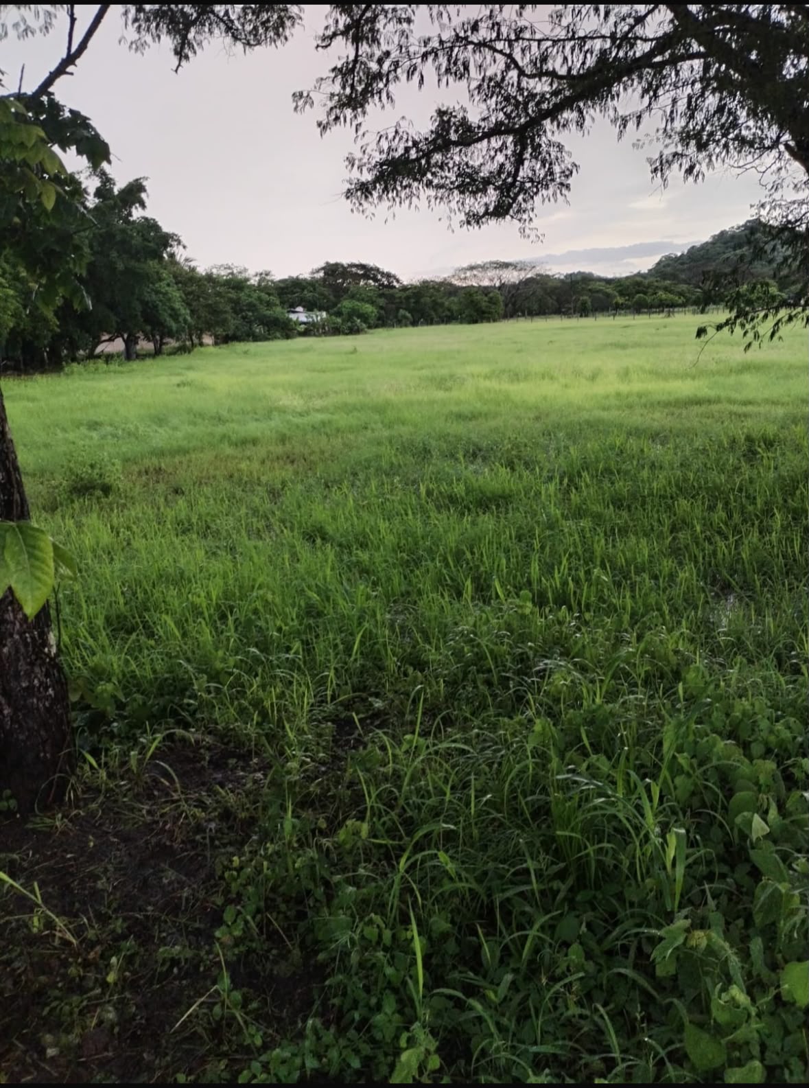 Vista 2 de Lote Llanos del Cortés, Bagaces