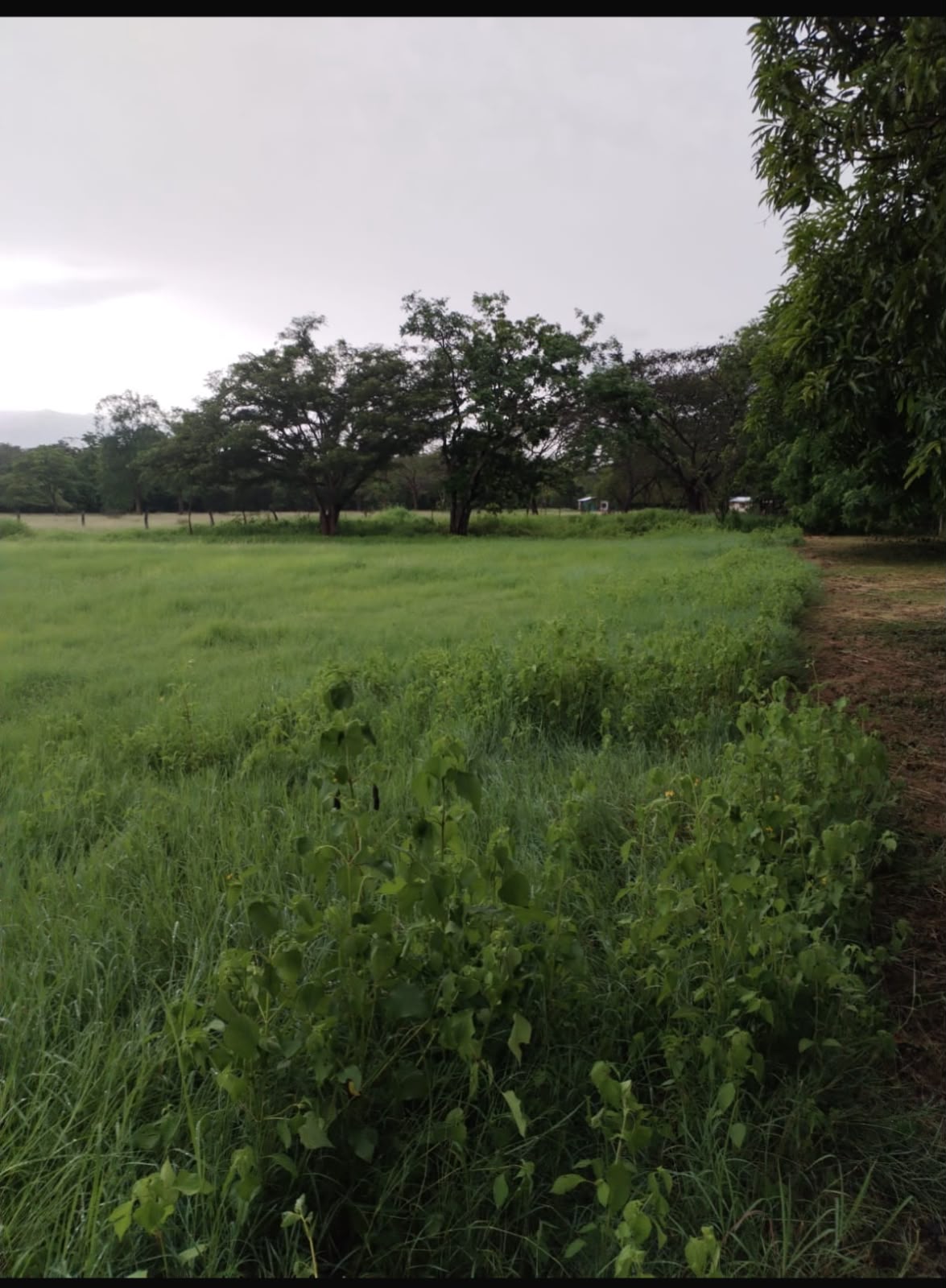 Vista 3 de Lote Llanos del Cortés, Bagaces