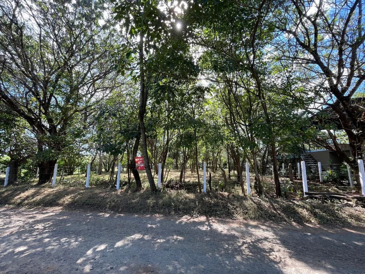 Imagen principal de Lote Junquillal