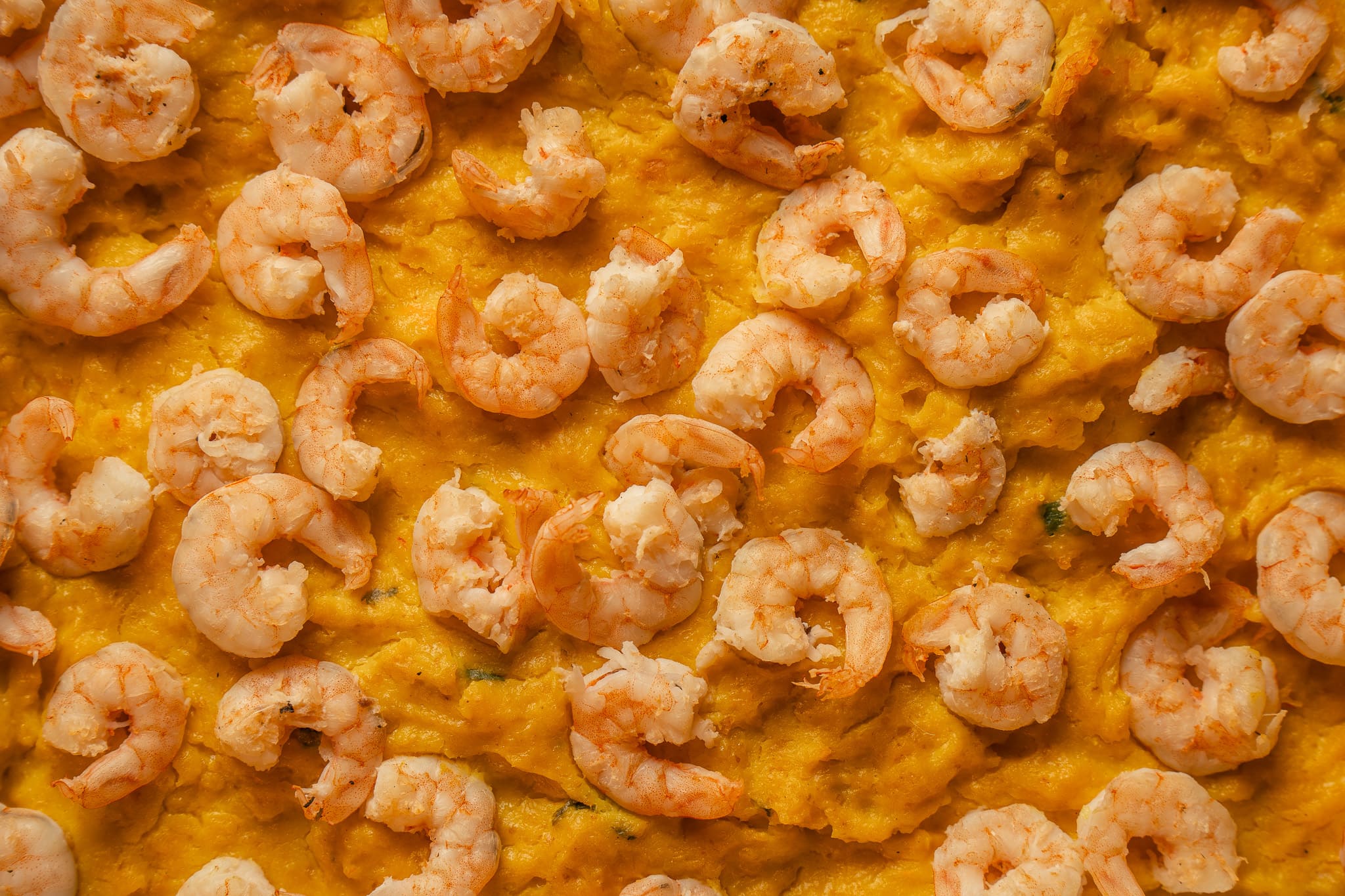 Comida 51