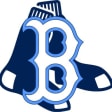 Blue Sox Baseball logo