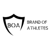 BOA Baseball logo