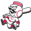 Cincinnati Reds Scout Team logo