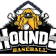 Hounds logo