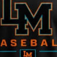 Luis Marte Baseball Academy logo