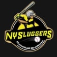 NYC Sluggers Baseball Academy  logo