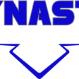 Team Dynasty logo
