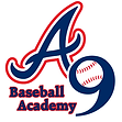 All9Baseball logo