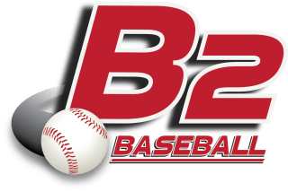 B2 Bulls logo