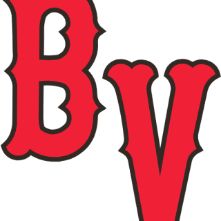 Beaver Valley Baseball logo