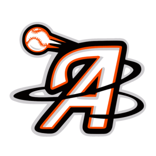 Delmarva Aces logo