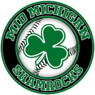 Michigan Shamrocks logo