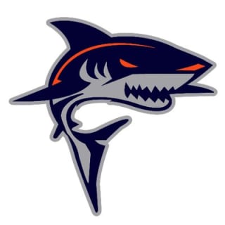 NE Baseball, Inc. logo