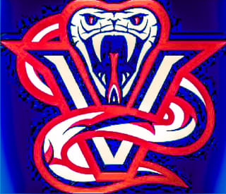 Nova Vipers Baseball logo