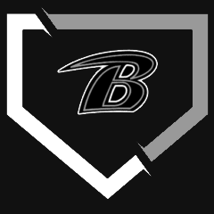 NY Blackhawks logo