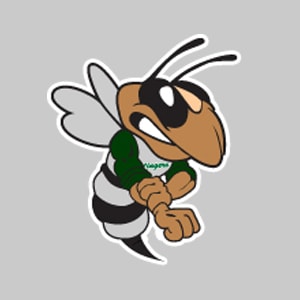 Ostingers Baseball Academy (OBA) logo