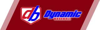 Rise Baseball logo