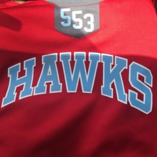 Toledo Hawks logo