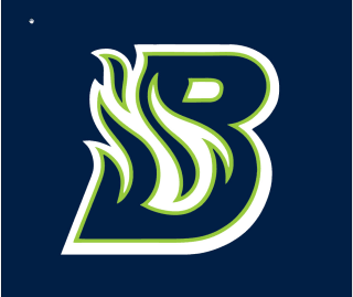 Virginia Blaze logo