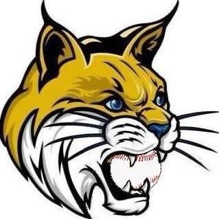 Whiteford Baseball Club logo