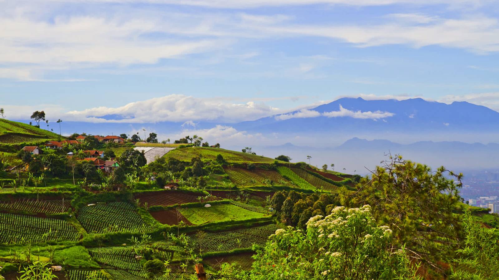 Bandung