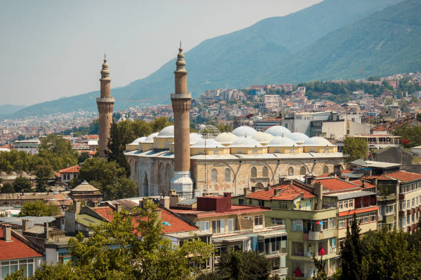 Bursa