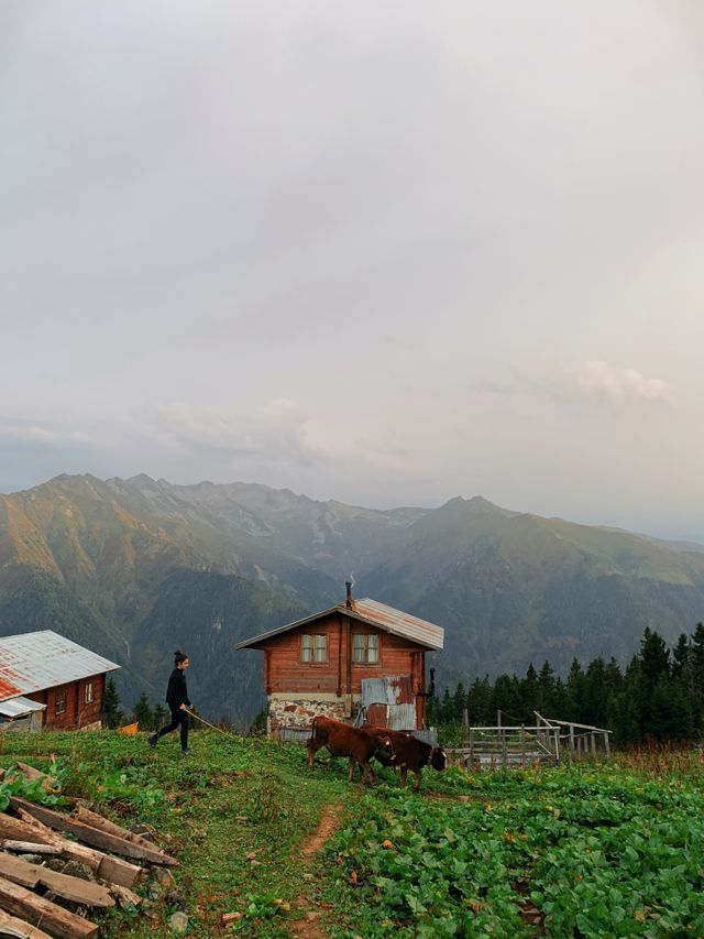 Alpenblick Bauernhof