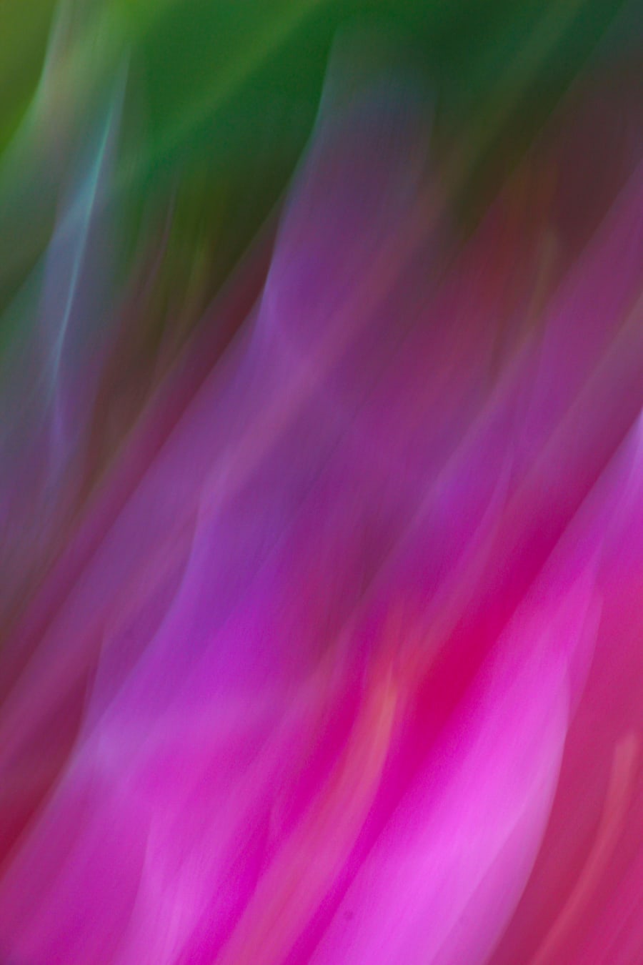 GallerySite/jarjfko6jsjok6c6bie8