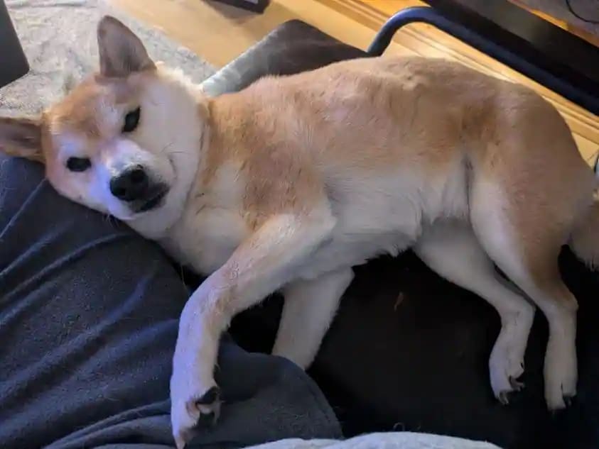 今日から通常営業です｜繁忙期のご案内とオーナー様へのお知らせの画像