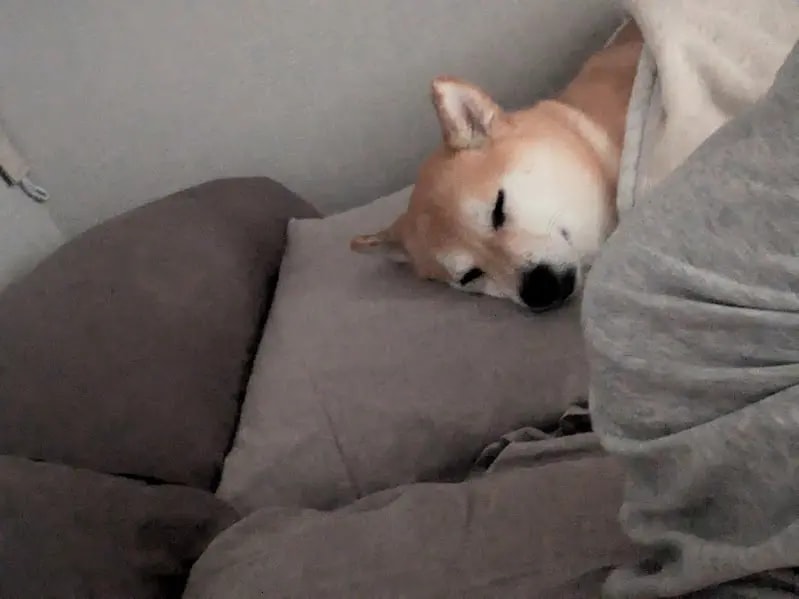 夏季連休ありがとうございました！の画像