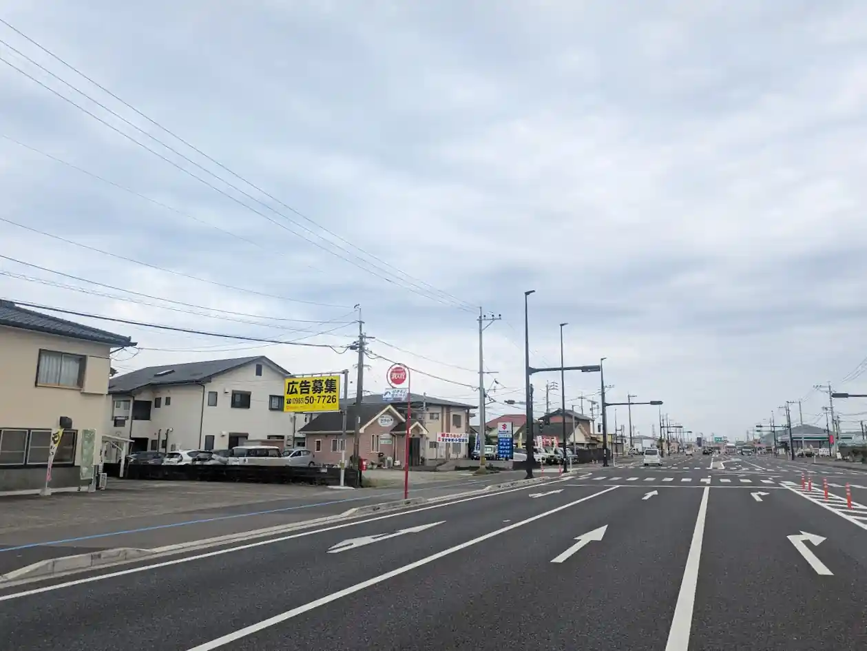 日向市財光寺エリアを通る国道10号線の道路風景と周辺の街並み