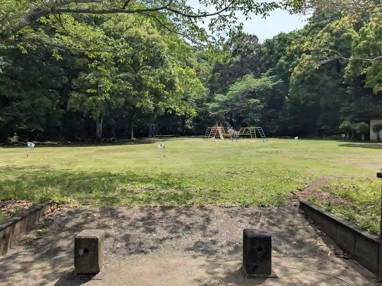 日向市大王谷運動公園の児童遊戯広場と遊具がある自然豊かな芝生広場の風景